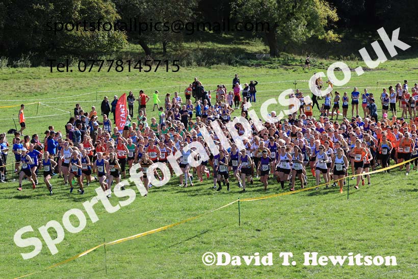 Senior and under-20s women 2024 Start Fitness NEHL, Thornley Hall Farm, Peterlee, Saturday, September 28th.   Photo: David T. Hewitson/Sports for All Pics
